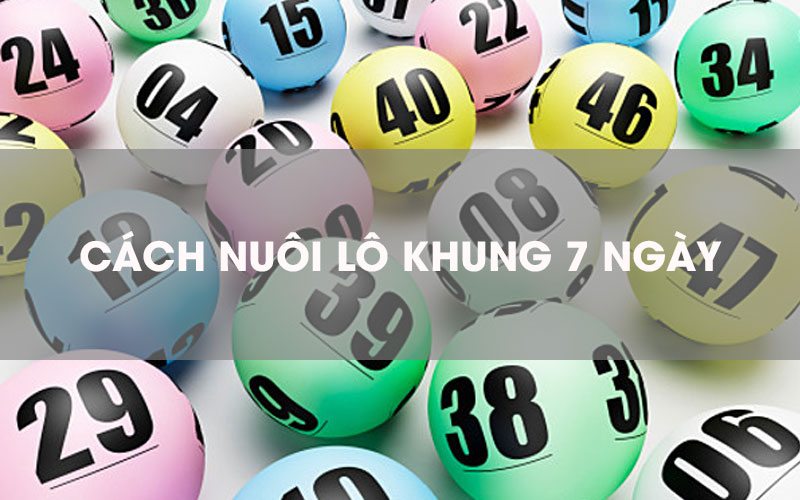 Nuôi lô khung 7 ngày hiệu quả lãi cao 100