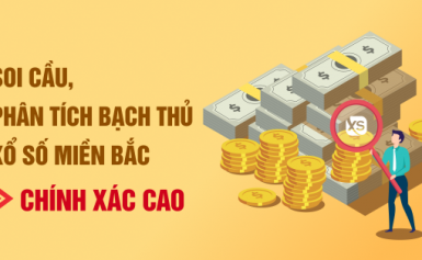 Bạch Thủ Lô Đề Là Gì – Kinh Nghiệm Nuôi Bạch Thủ Lô Chuẩn